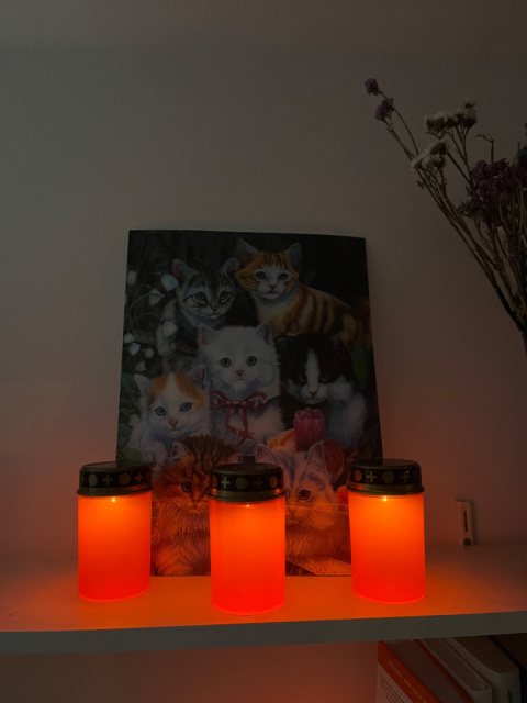 Spooky Lamp - Halloweenowe Znicze Solarne - MEGA PARTY PACK 12 SZT Spooky Lamp - Halloweenowe Znicze Solarne - MEGA PARTY PACK 12 SZT